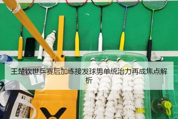 王楚钦世乒赛后加练接发球男单统治力再成焦点解析